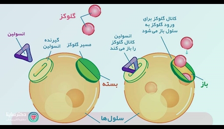 روزه داری در بیماران مبتلا به دیابت نوع ۲ روزه داری در بیماران مبتلا به دیابت نوع ۲