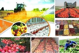 برنامه‌های تحول‌آفرینی در چهار زیربخش کشاورزی داریم