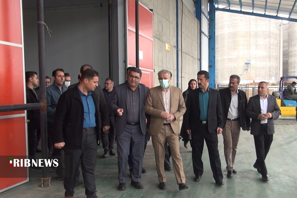 وضعیت مطلوب کردستان در ذخیره سازی گوشت مرغ