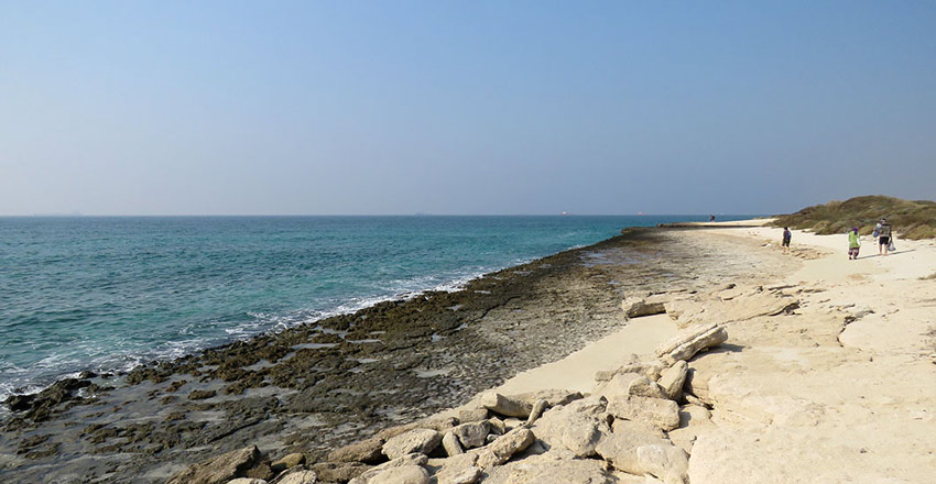 جزیره شیدور یا مارو