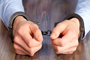 بازداشت سارق درختان در همدان