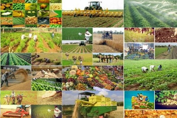 اولویتهای جهاد کشاورزی برای تحقق شعار سال