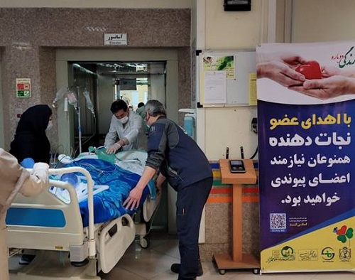 نخستین عمل پیوند اعضا در سال جدید به چهار بیمار زندگی دوباره بخشید