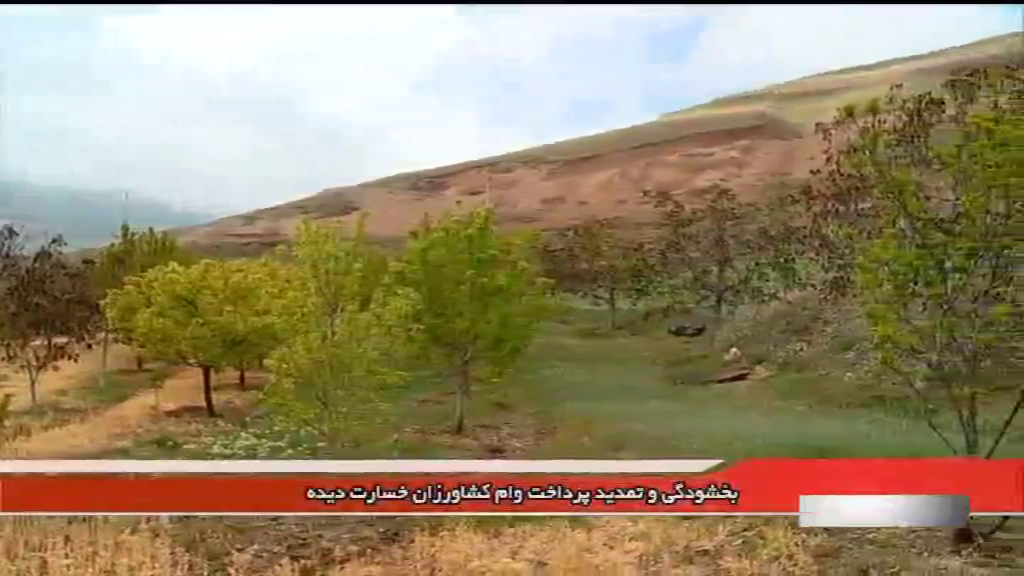 بخشودگی و تمدید پرداخت وام کشاورزان خسارت دیده + فیلم