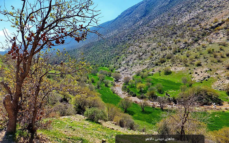 جاذبه های گردشگری