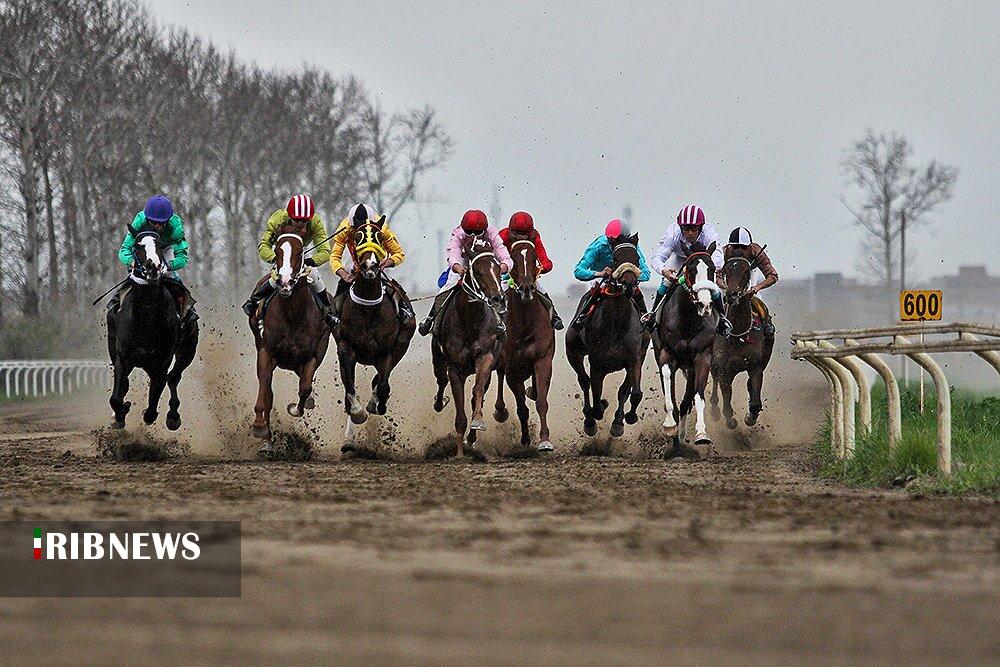 هفته دهم مسابقات اسبدوانی پاییزه گنبدکاووس سه روزه شد هفته دهم مسابقات اسبدوانی پاییزه گنبدکاووس سه روزه شد