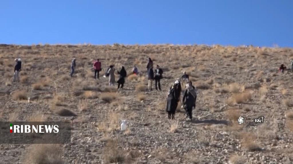 نهال کاری در عرصههای منابع طبیعی آباده نهال کاری در عرصههای منابع طبیعی آباده