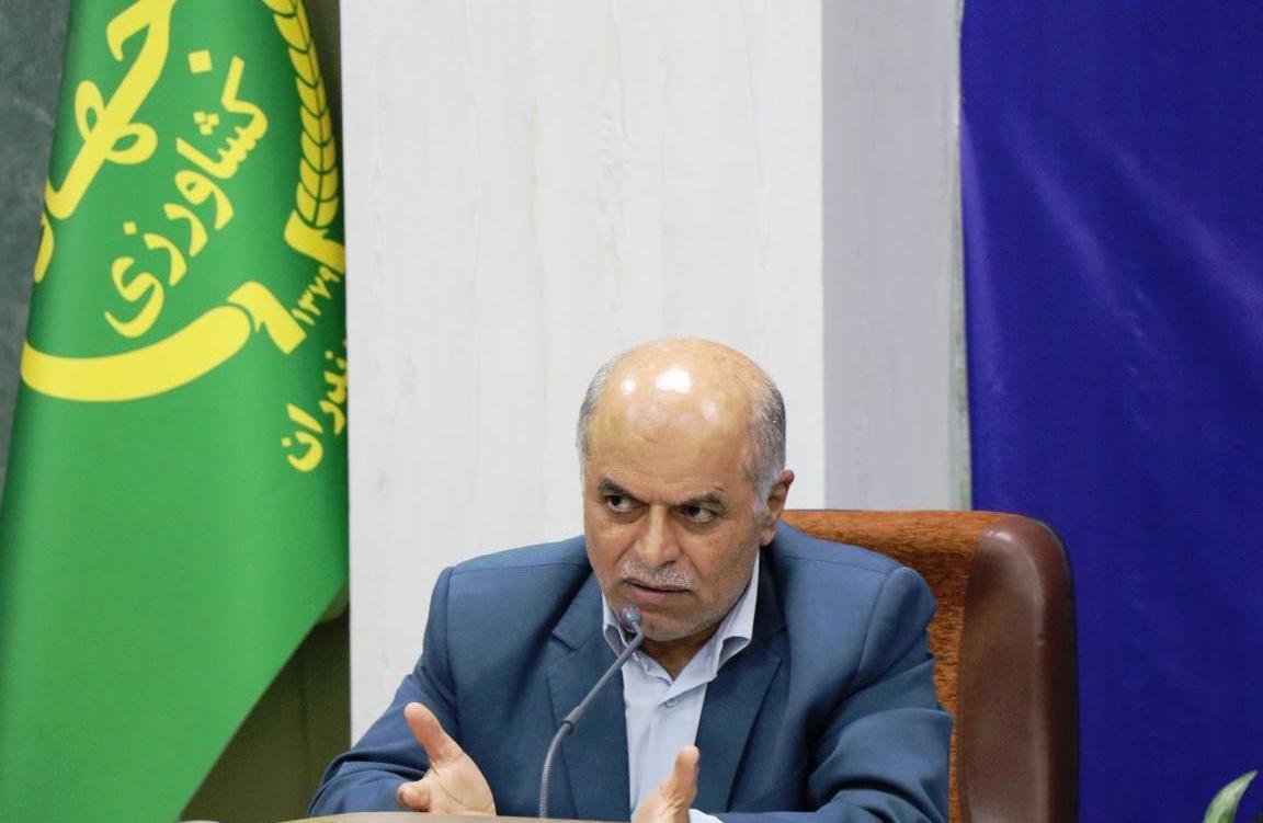 جهش تولید در ۵۱ هزار هکتار از دیمزار‌های مازندران