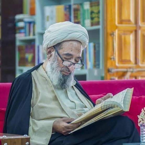 درگذشت علامه نجفی، مفسر قرآن و عالم برجسته پاکستانی درگذشت علامه نجفی، مفسر قرآن و عالم برجسته پاکستانی