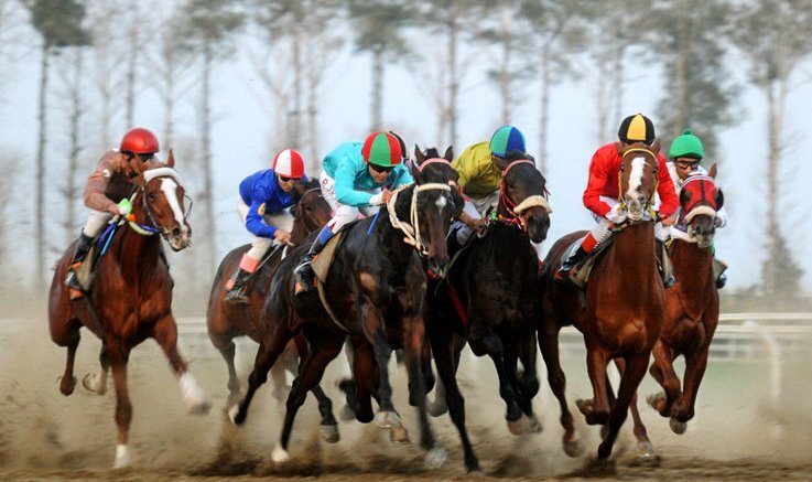 معرفی برترینهای هفته یازدهم رقابتهای سوارکاری گنبدکاووس معرفی برترینهای هفته یازدهم رقابتهای سوارکاری گنبدکاووس