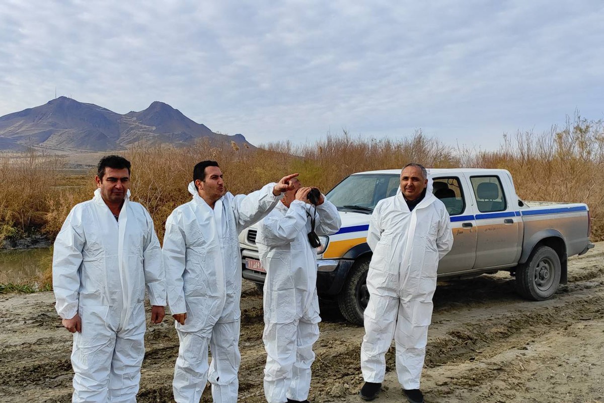 پایش مشترک بیماری آنفلوآنزای فوق حاد پرندگان در زیستگاه های آبی شهرستان ارومیه پایش مشترک بیماری آنفلوآنزای فوق حاد پرندگان در زیستگاه های آبی شهرستان ارومیه