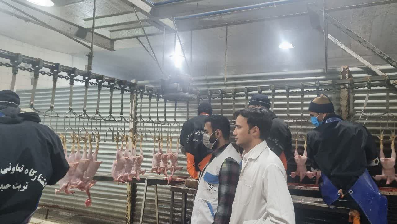 نظارت بهداشتی بر گوشت سفید و گوشت قرمز در کشتارگاههای مه ولات نظارت بهداشتی بر گوشت سفید و گوشت قرمز در کشتارگاههای مه ولات