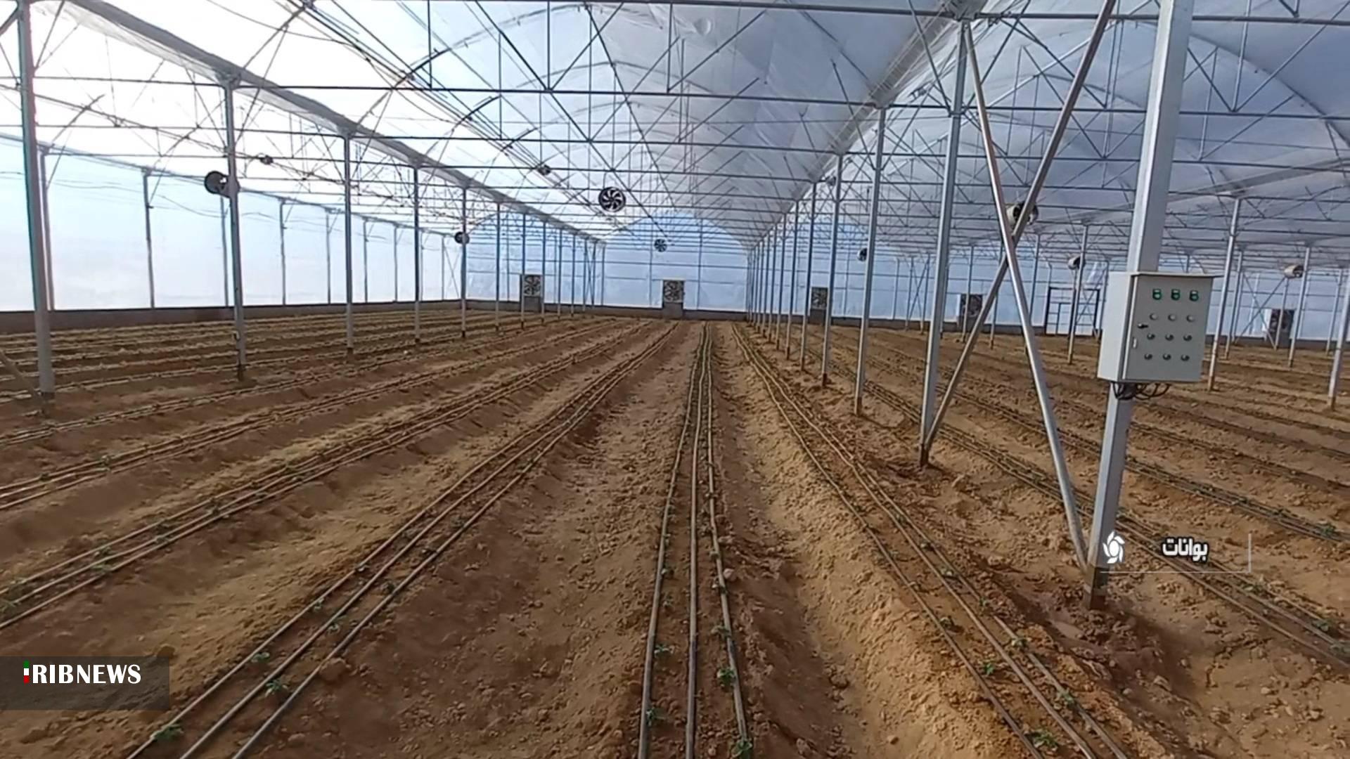 افتتاح گلخانه سبزی و صیفی در منطقه بجدانه شهرستان بوانات افتتاح گلخانه سبزی و صیفی در منطقه بجدانه شهرستان بوانات