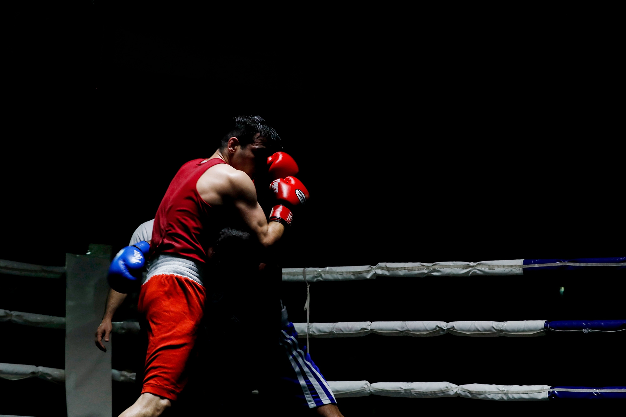 بوکس بین المللی بلغارستان؛ صعود نمایندگان ایران به یک چهارم نهایی