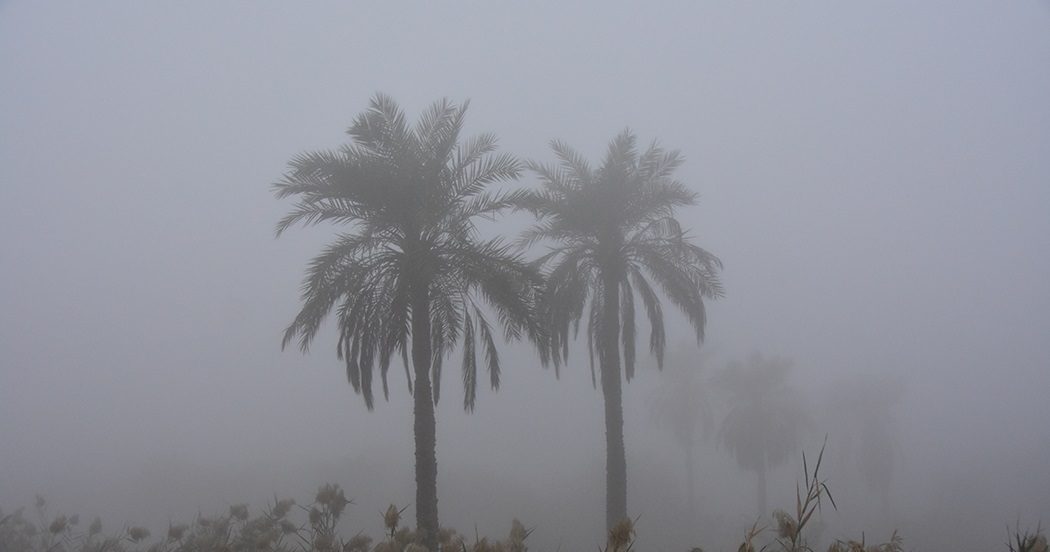 پیش بینی وقوع مه، غبار صبحگاهی و افزایش غلظت آلاینده‌ها در خوزستان