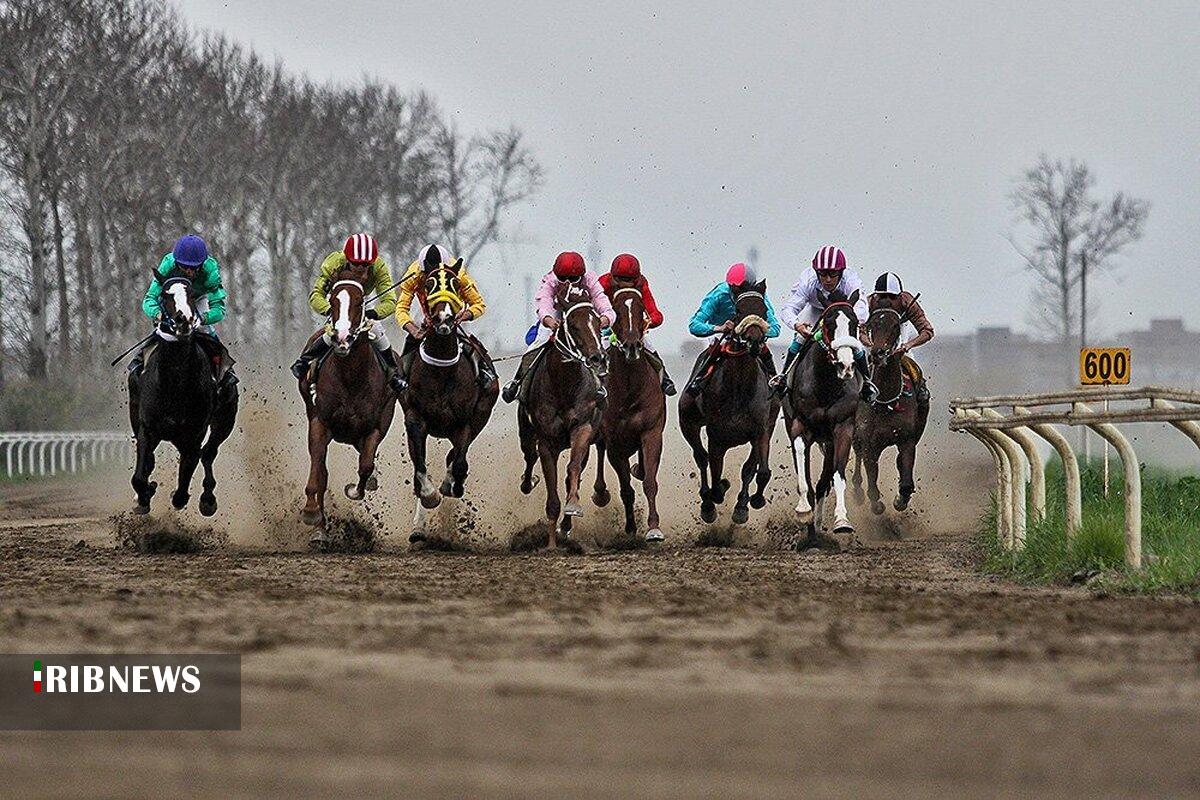 برگزاری هفته شانزدهم کورس اسبدوانی گنبدکاووس در سه روز