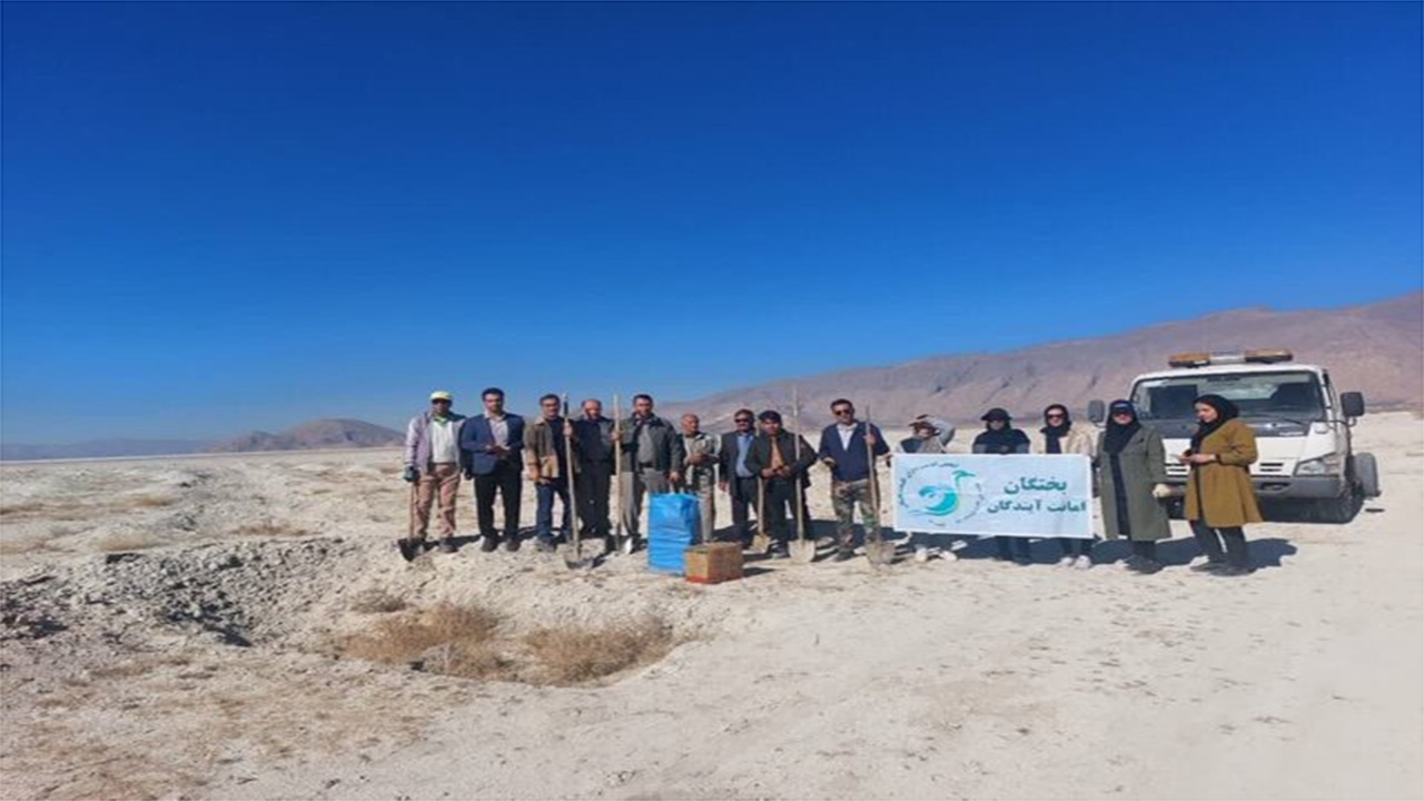 کاشت درختچه گز در حاشیه تالاب طشک کاشت درختچه گز در حاشیه تالاب طشک