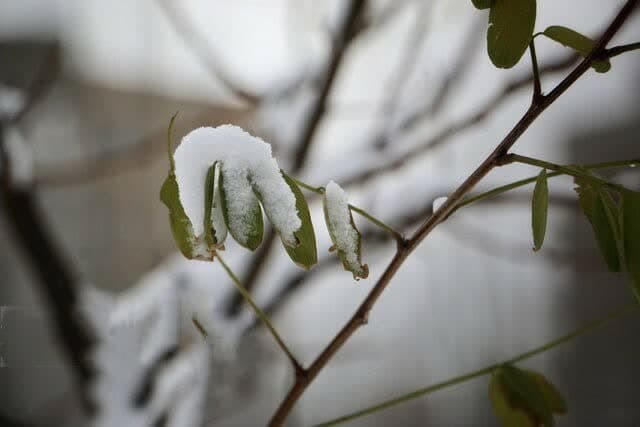 افزایش ۵۲.۸ درصدی بارشها در آذربایجان غربی افزایش ۵۲.۸ درصدی بارشها در آذربایجان غربی