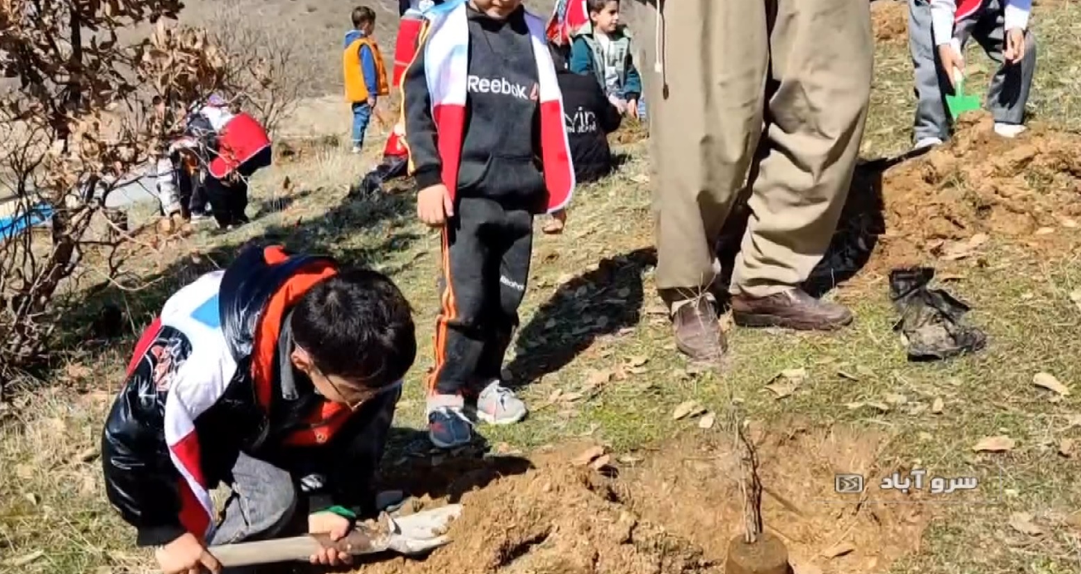 غرس نهال در سومین روز از هفته ی منابع طبیعی غرس نهال در سومین روز از هفته ی منابع طبیعی