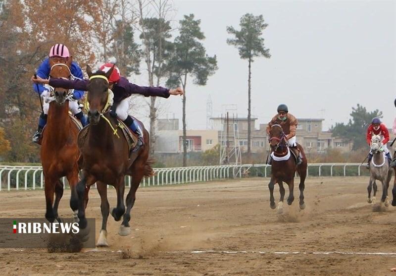 برگزاری هفته آخر کورس اسبدوانی گنبدکاووس به تعویق افتاد برگزاری هفته آخر کورس اسبدوانی گنبدکاووس به تعویق افتاد