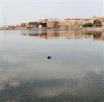 بازگشت چنگر نوک سرخ به آغوش طبیعت در خوسف