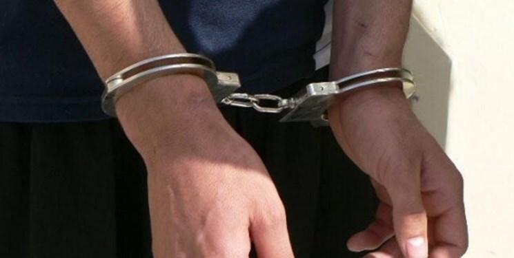 کشف ۱۳ فقره سرقت در ایلام