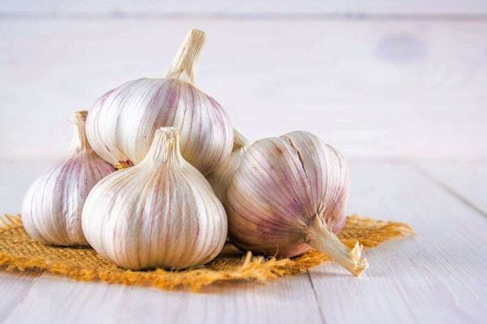 آنتی بیوتیک های خانگی قوی را بشناسید