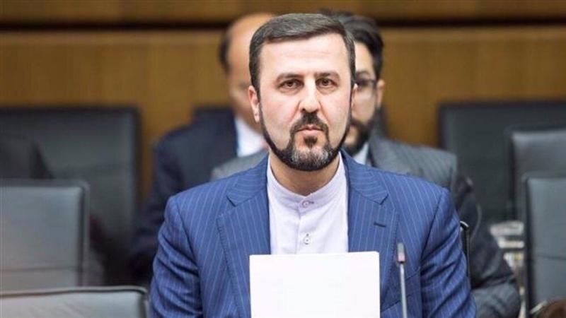 واکنش دبیر ستاد حقوق بشر به قتل «جوردن نیلی»، سیاه‌پوستی که در متروی نیویورک