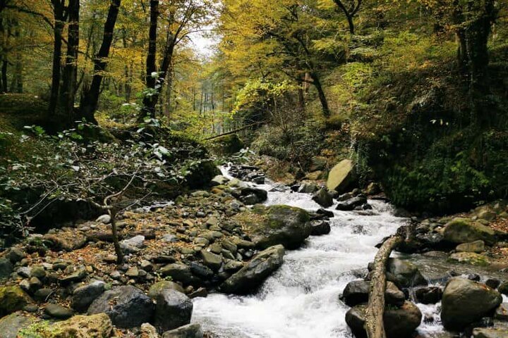 فلکده تنکابن مکانی تفریحی با جنگل جذاب وآبگرم بدون گوگرد