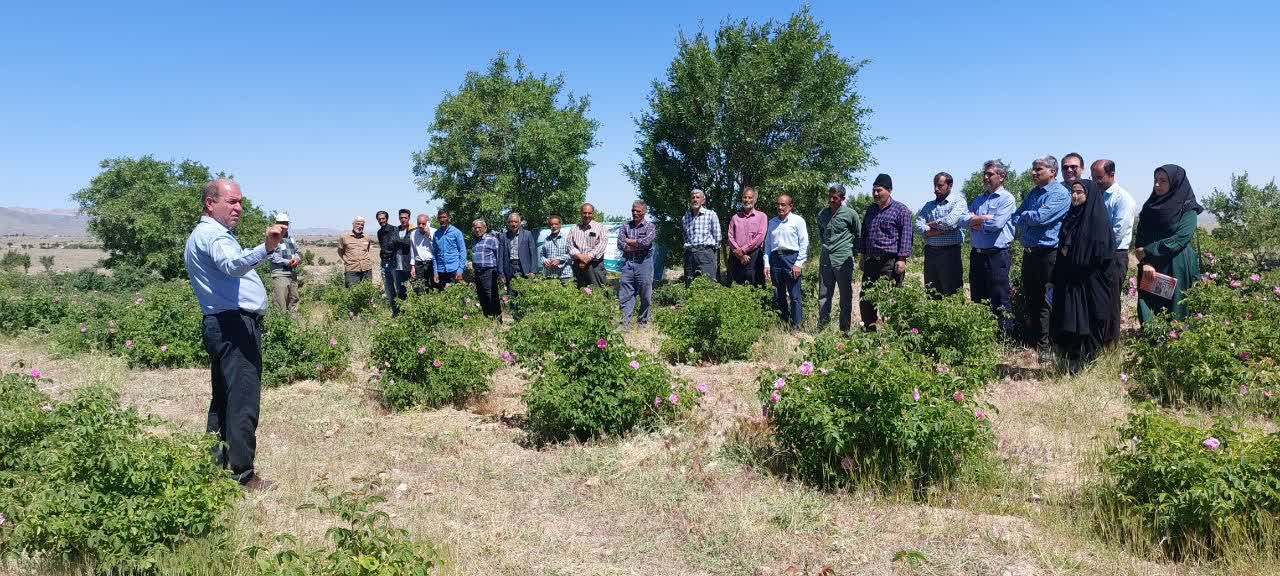 چهارمین کاروان ترویجی الگوی کشت محصولات زراعی بهاره در گناباد و طرقبه شاندیز چهارمین کاروان ترویجی الگوی کشت محصولات زراعی بهاره در گناباد و طرقبه شاندیز
