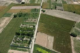 نیازمند ایده‌های جدید در حوزه حفظ کاربری اراضی کشاورزی هستیم