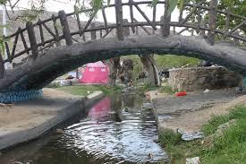 نو نوار شدن توتستان مهریز نو نوار شدن توتستان مهریز