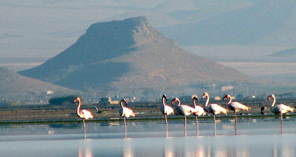 تالاب میقان اراک