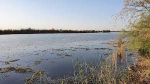 تلاش برای احیا و حفظ محیط زیست تالاب بامدژ