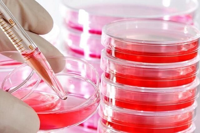 برگزاری کارگاه سه‌روزه کشت سلول