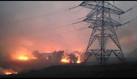آتش سوزی وسیع جنگلی در انگلیس