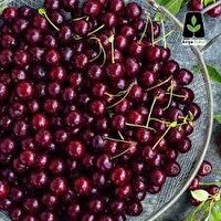 هشتگ هفته؛ گیلاس هایی به کام دلالان