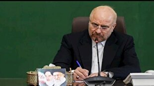 پیام تسلیت قالیباف به رئیس مجلس نمایندگان هند