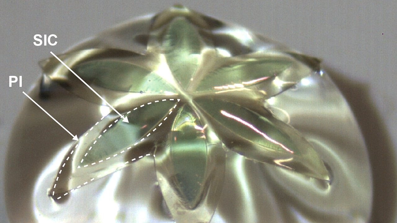 به جای آزمایش روی موشها، میتوان از تراشه استفاده کرد! به جای آزمایش روی موشها، میتوان از تراشه استفاده کرد!