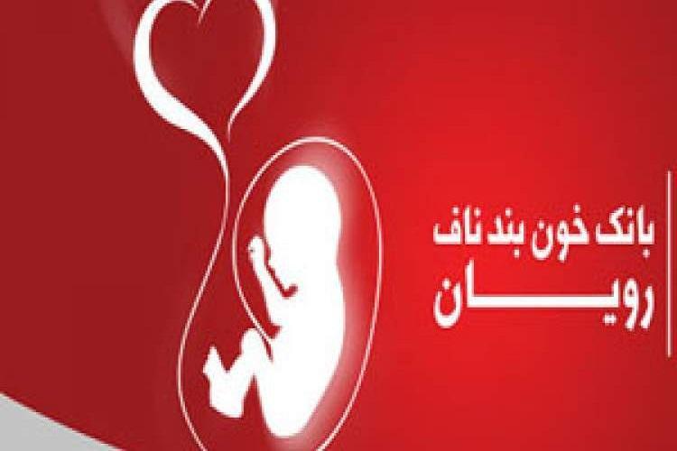 گردهمایی کارشناسان فنی بانک خون بند ناف جنوب کشور در شیراز گردهمایی کارشناسان فنی بانک خون بند ناف جنوب کشور در شیراز