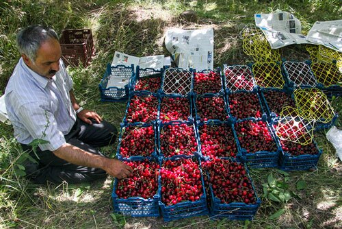 گزارش مکتوب: «الموت» بهشت ناشناخته ایران