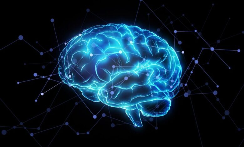 چراغهای راهنمایی مغز و کنترل ترافیک اطلاعات چراغهای راهنمایی مغز و کنترل ترافیک اطلاعات