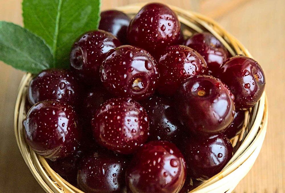 خواص آلبالو از درمان بیخوابی و آسم تا کمک به کلیه‌ها