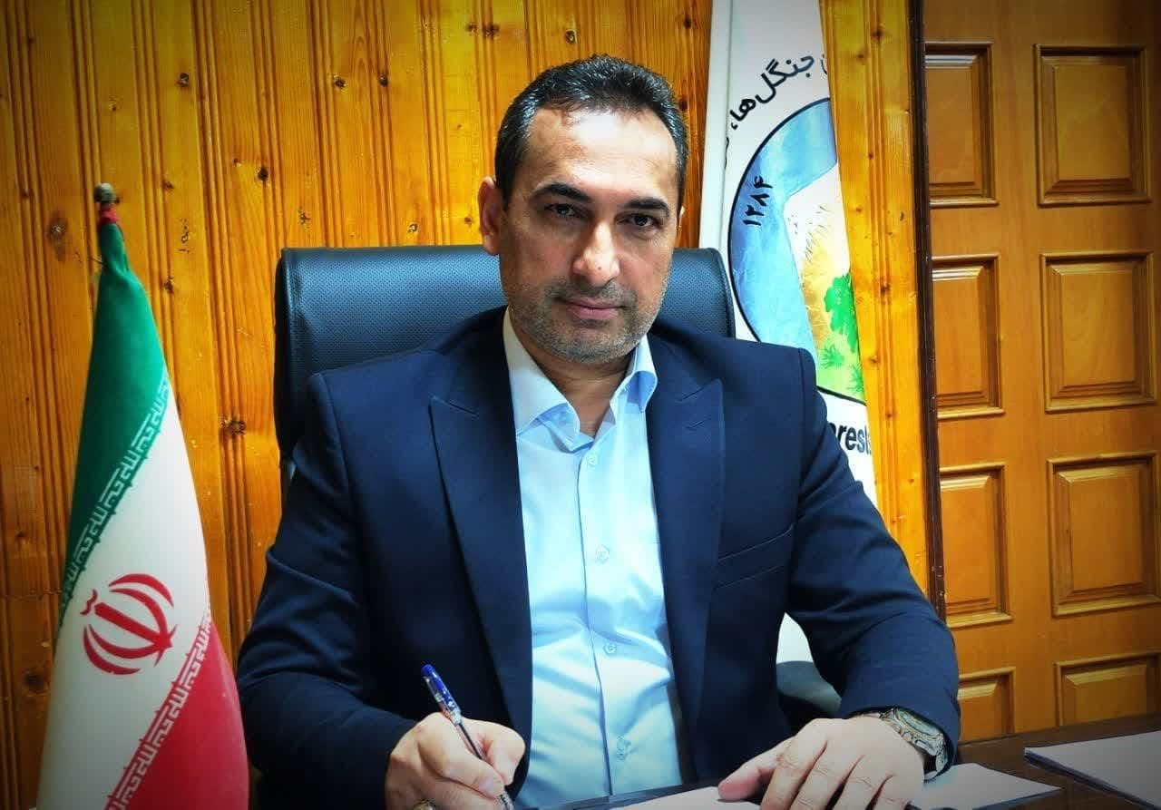 عامل انسانی علت اصلی آتش سوزی در عرصه‌های جنگلی