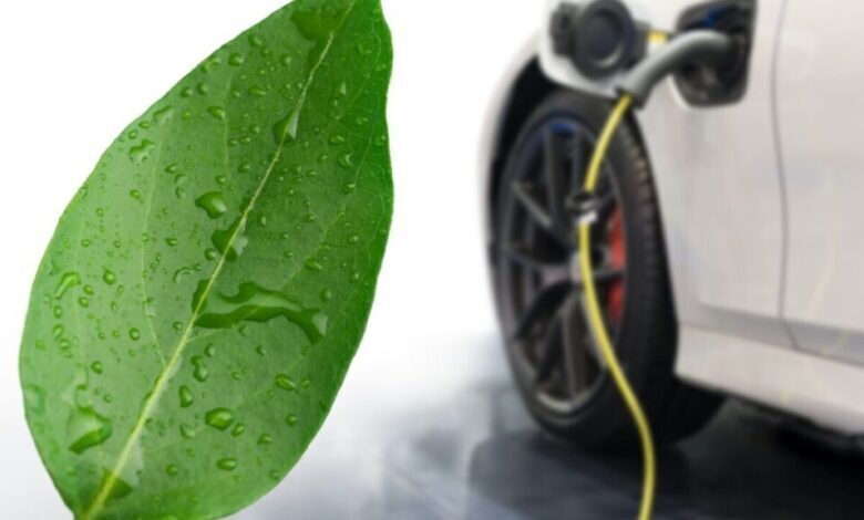 شارژ خودروهای آینده با کمک برگ مصنوعی