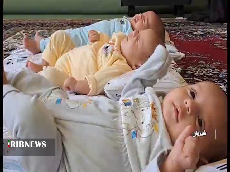 حمایت ستاد اجرایی فرمان امام از سه قلوهای شیروانی حمایت ستاد اجرایی فرمان امام از سه قلوهای شیروانی