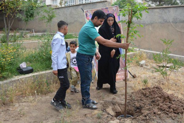 نهالکاری به نام فرزندان خانوادههای باشکوه در تربت حیدریه نهالکاری به نام فرزندان خانوادههای باشکوه در تربت حیدریه