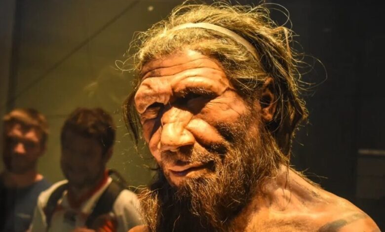 نئاندرتال ها به چه زبانی صحبت می کردند؟ نئاندرتال ها به چه زبانی صحبت می کردند؟