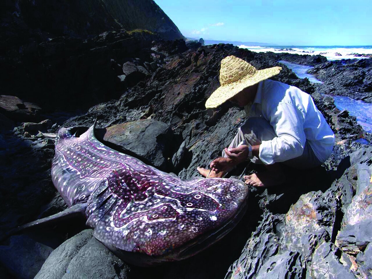 نشانی گنجهای پنهان در ایران نشانی گنجهای پنهان در ایران