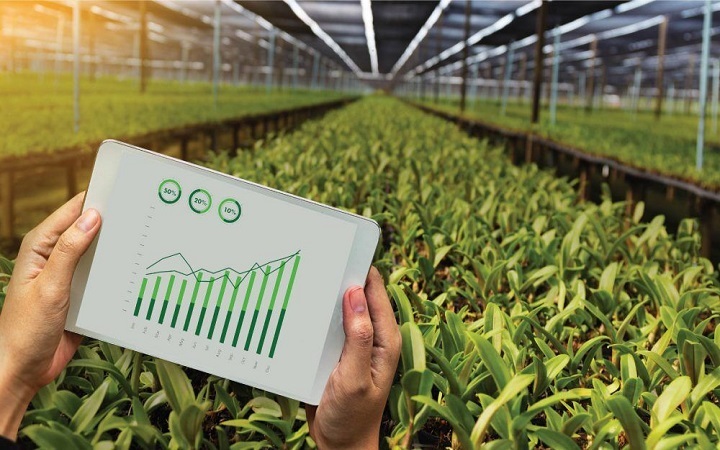 مجوز راه اندازی پردیس علم و فناوری کشاورزی و صنایع غذایی در خوزستان مجوز راه اندازی پردیس علم و فناوری کشاورزی و صنایع غذایی در خوزستان